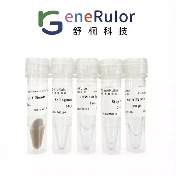 GeneRulor BLT磁珠固化转座建库试剂盒
