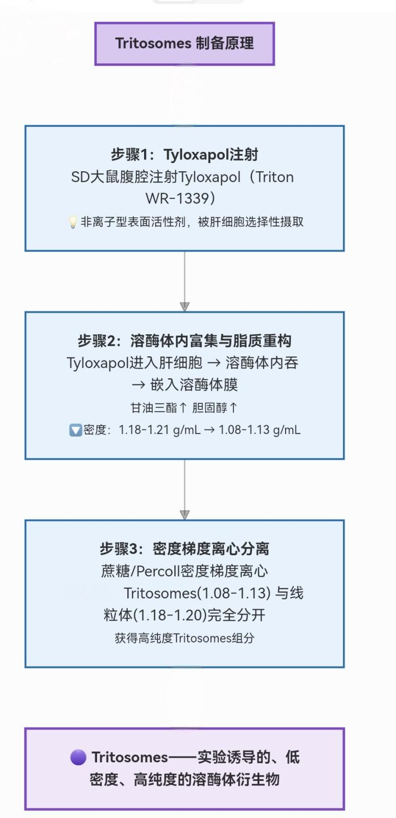 齐选 2-1.png