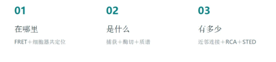 技术资料图片2
