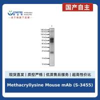 Methacryllysine Mouse mAb (S-3455)