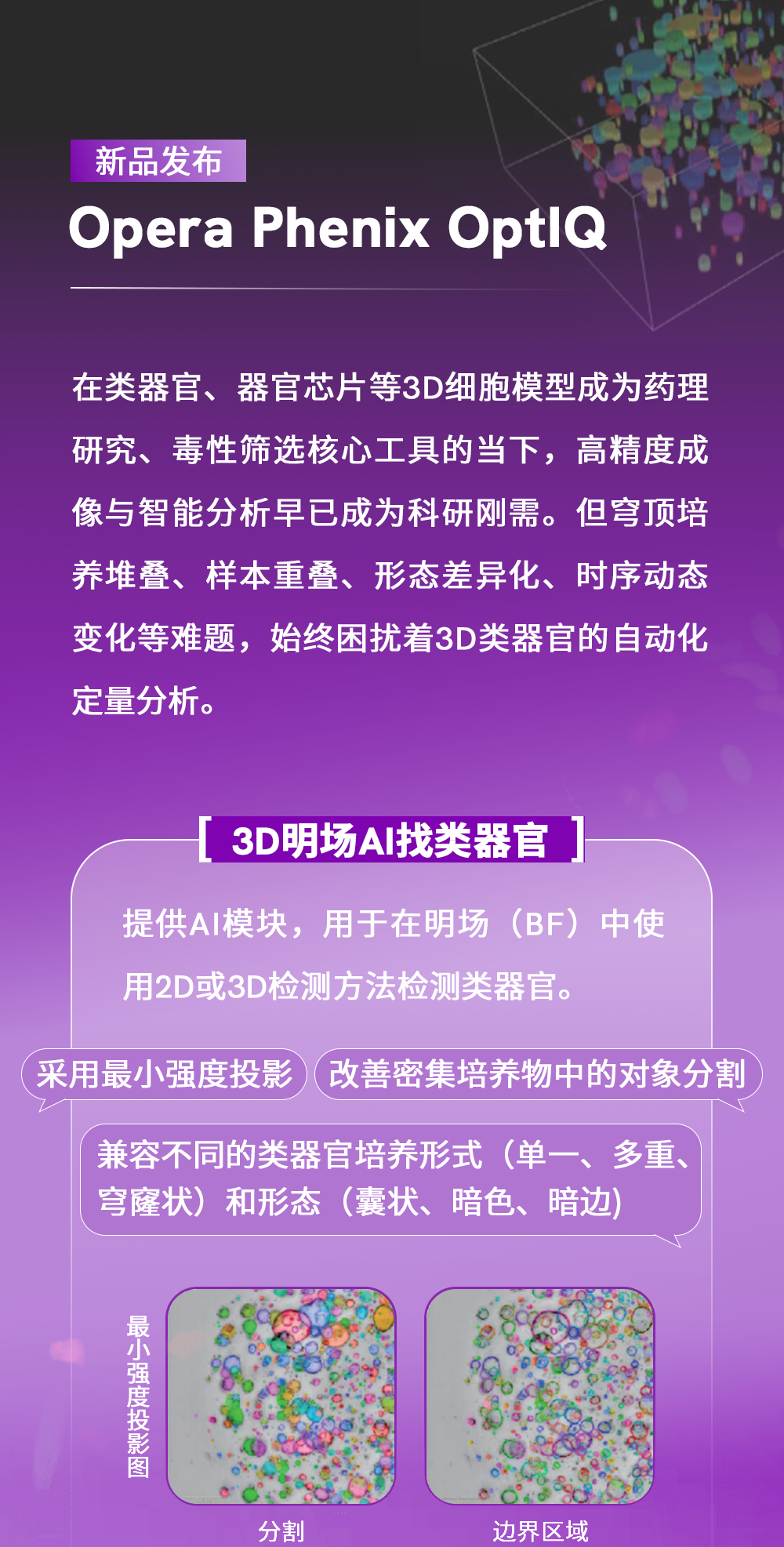 新闻图片1