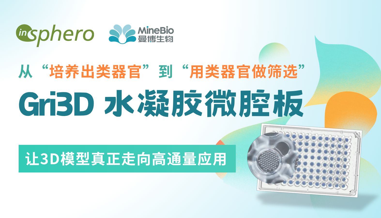 从“培养出类器官”到“用类器官做筛选”：类器官培养板Gri3D技术如何让3D模型走向高通量应用？