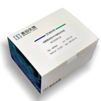 M123M124细菌基因组DNA提取试剂盒