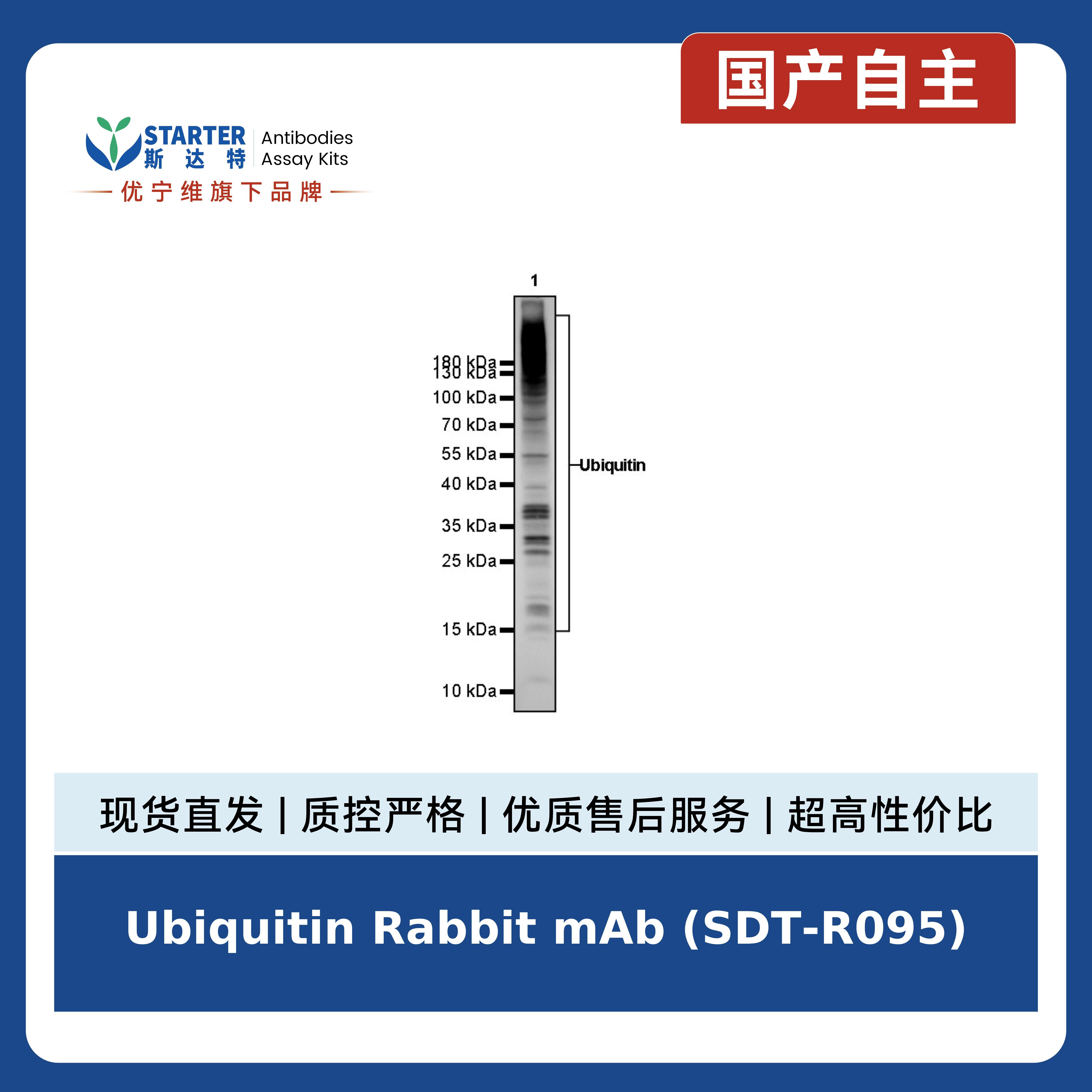 产品细节图片3