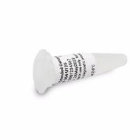 DNF-364-U125安捷伦HS扩展基因组DNA分子量标准品125µL Agilent