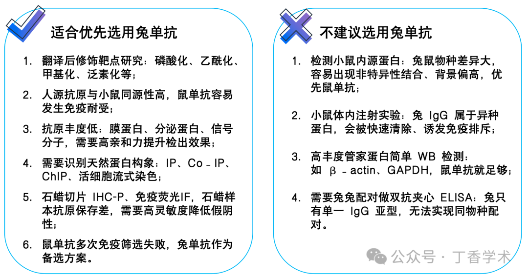 高亲和力、强特异性……兔单抗这么厉害，实验结果怎么还是不理想