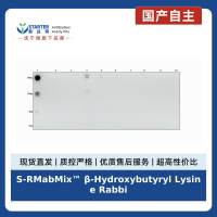 S-RMabMix™ β-Hydroxybutyryl Lysine Rabbit mAb