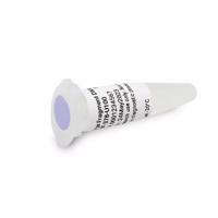 DNF-378-U100安捷伦大片段DNA分子量标准品100µL电泳试剂Agilent