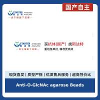 Anti-O-GlcNAc agarose Beads