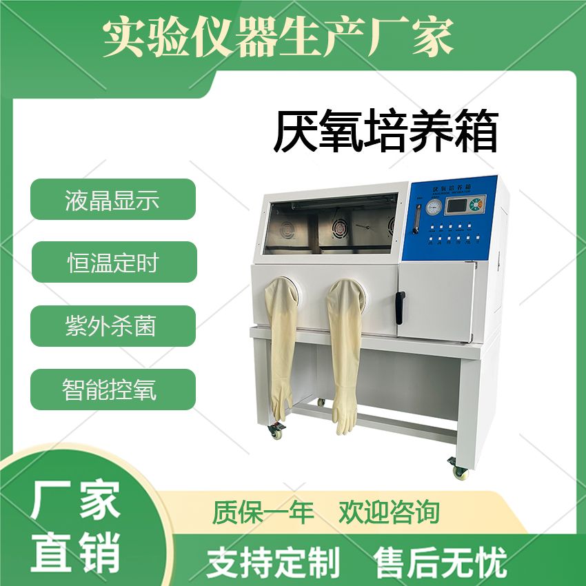 全自动手套箱