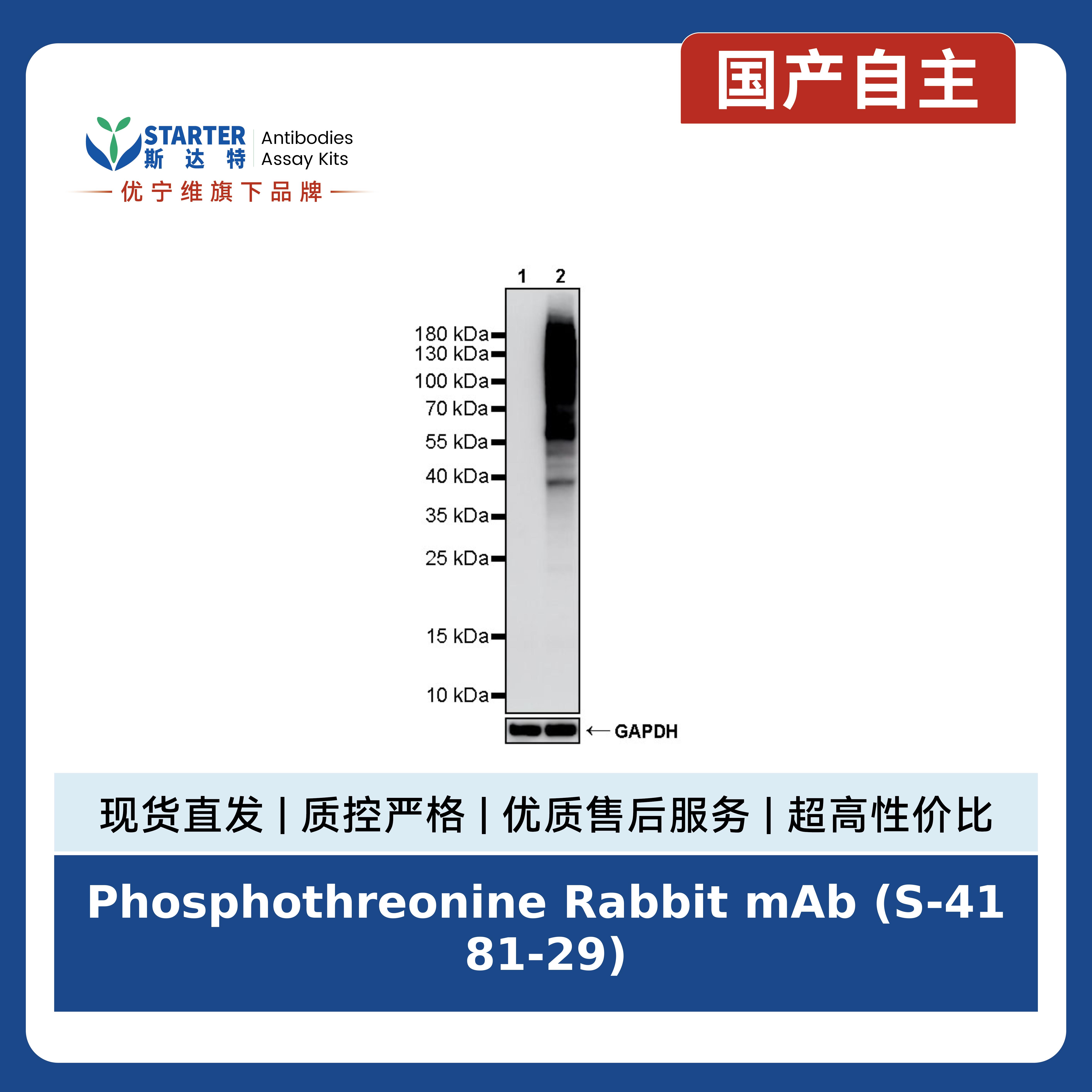 产品细节图片2