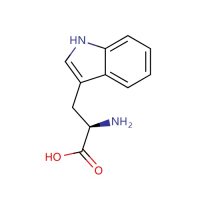 D-色氨酸,153-94-6,Moligand™, 10mM in DMSO,阿拉丁