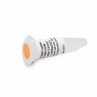 DNF-399-U100安捷伦NGS DNA分子量标准品100µL片段分析仪试剂Agilent