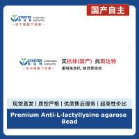 Premium Anti-L-lactyllysine agarose Beads
