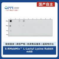 S-RMabMix™ L-Lactyl Lysine Rabbit mAb
