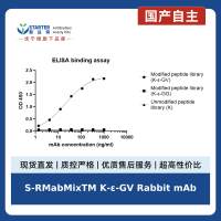 S-RMabMixTM K-ε-GV Rabbit mAb