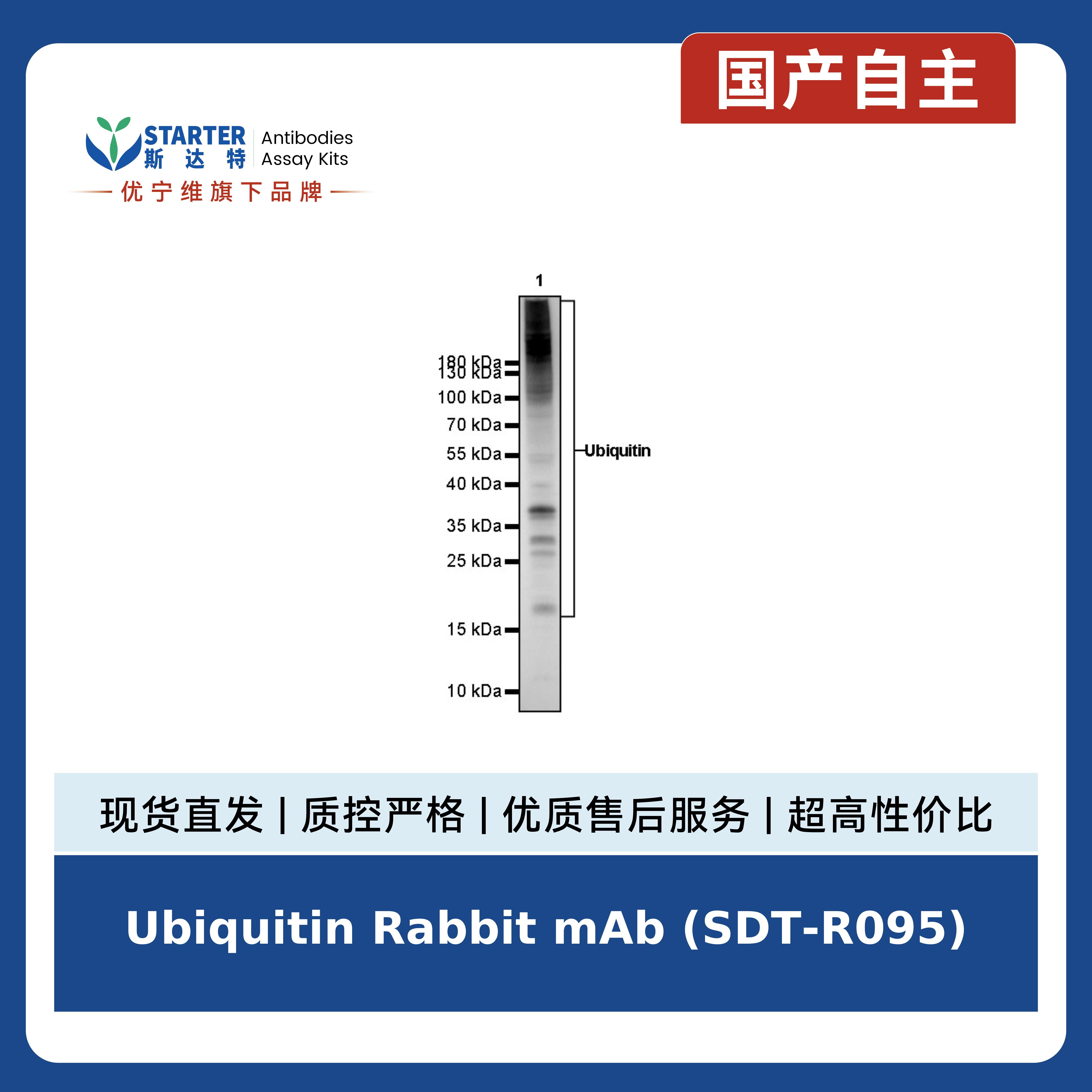 产品细节图片4