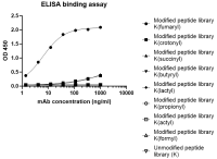 S-RMabMix™ Fumaryllysine Rabbit mAb