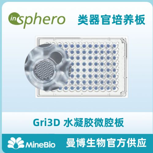 类器官培养板 Gri3D水凝胶微腔板