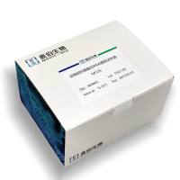 M125 动物组织细胞总RNA提取试剂盒