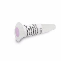 DNF-365-U125安捷伦HS扩展大片段DNA分子量标准品125µL Agilent