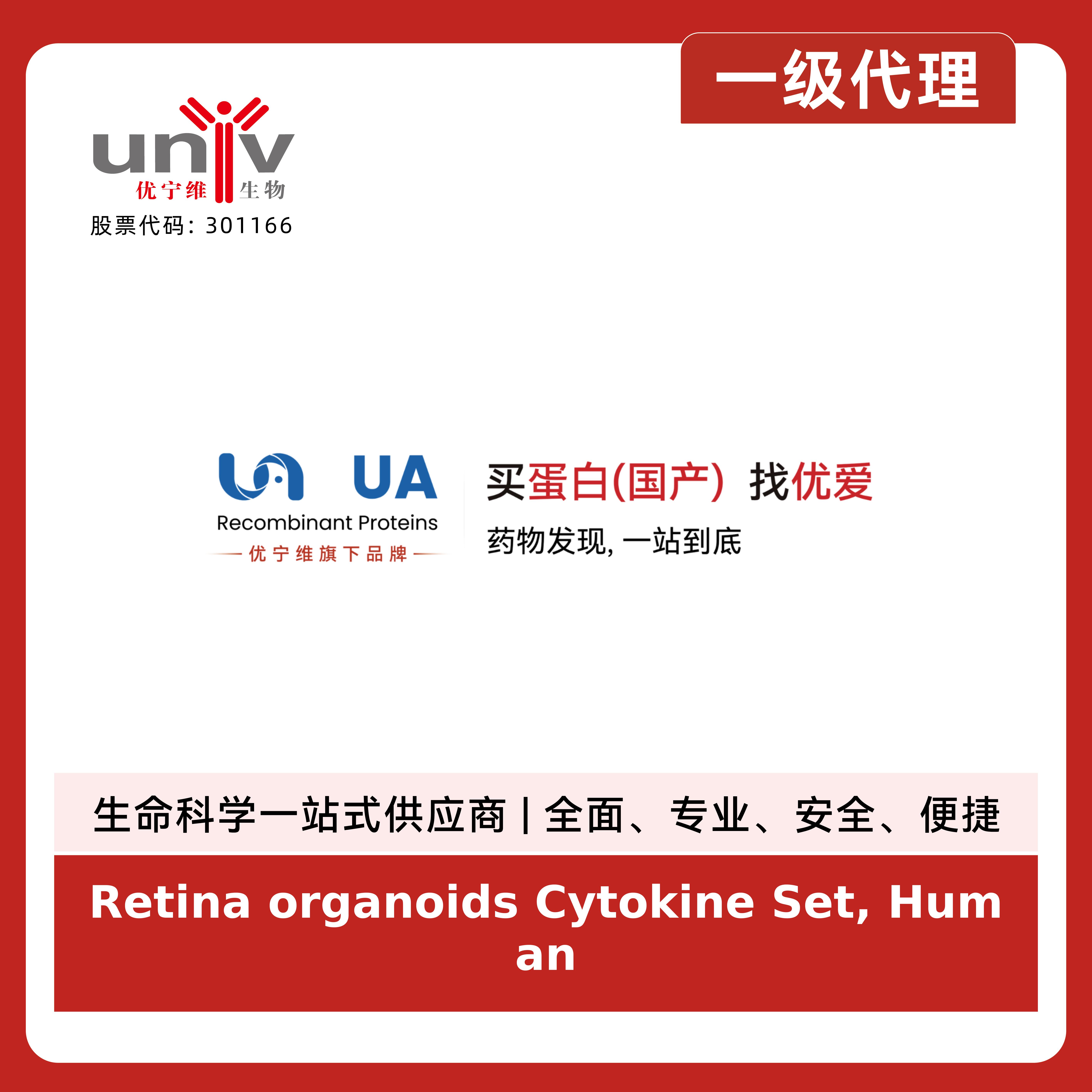 Retina organoids Cytokine Set, Human产品图