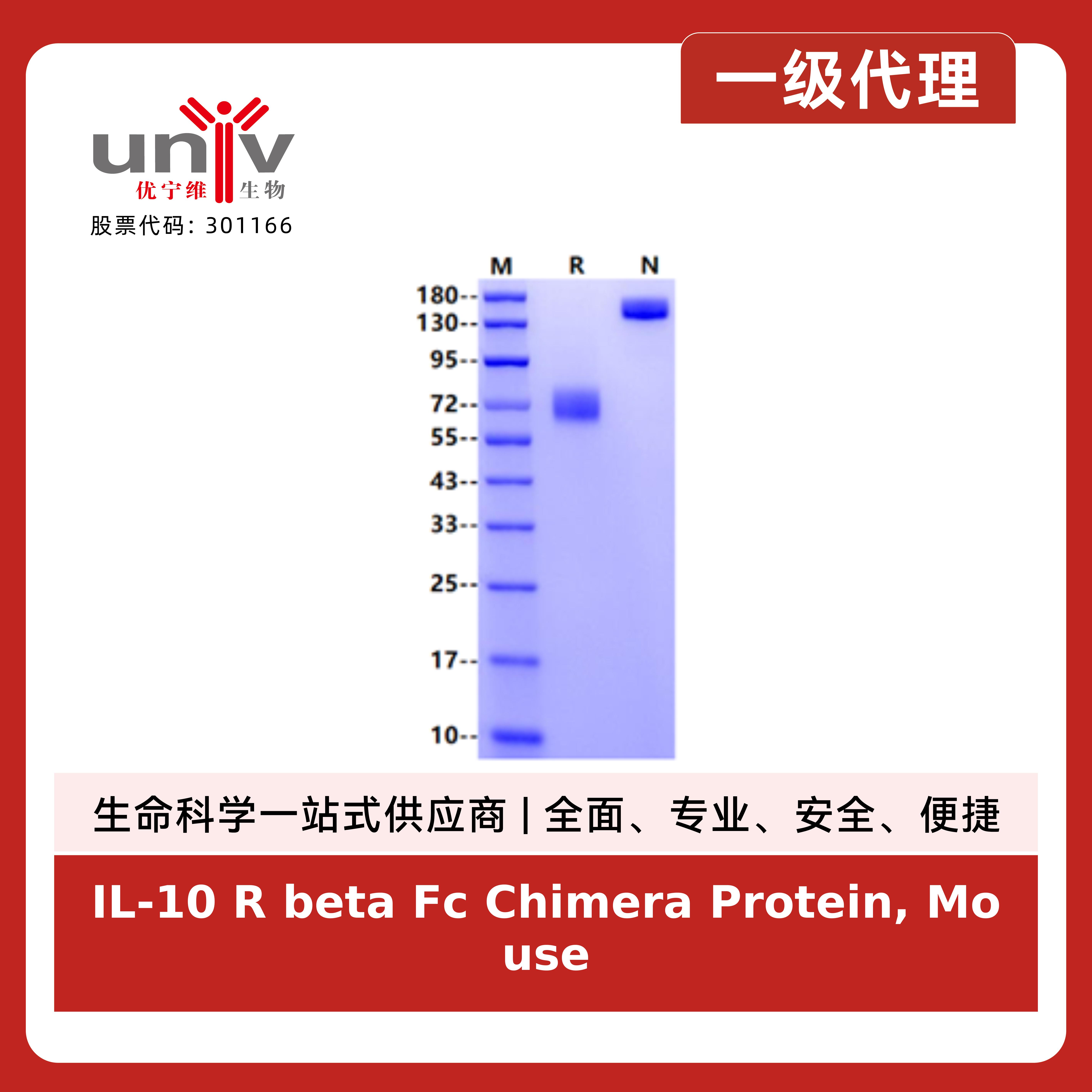 产品细节图片1
