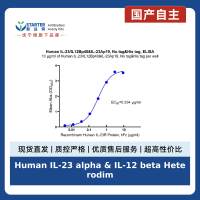 Human IL-23 alpha & IL-12 beta Heterodimer Protein, No tag&His tag