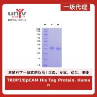 TROP1/EpCAM His Tag Protein, Human