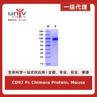 CD97 Fc Chimera Protein, Mouse