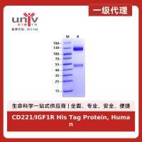 CD221/IGF1R His Tag Protein, Human