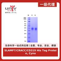 SLAMF7/CRACC/CD319 His Tag Protein, Cynomolgus