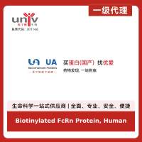 Biotinylated FcRn Protein, Human