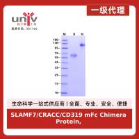 SLAMF7/CRACC/CD319 mFc Chimera Protein, Mouse