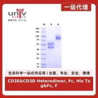 CD3E&CD3D Heterodimer, Fc, His Tag&Fc, Flag Tag Protein, Cynomolgus