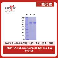 H7N9 HA (Shanghai/2/2013) His Tag Protein, Influenza