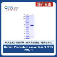 Human Proprotein convertase 9 (PCSK9), His tag