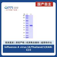 Influenza A virus [A/Thailand/1(KAN-1)/2004(H5N1)] Neuraminidase (NA) Protein, His tag