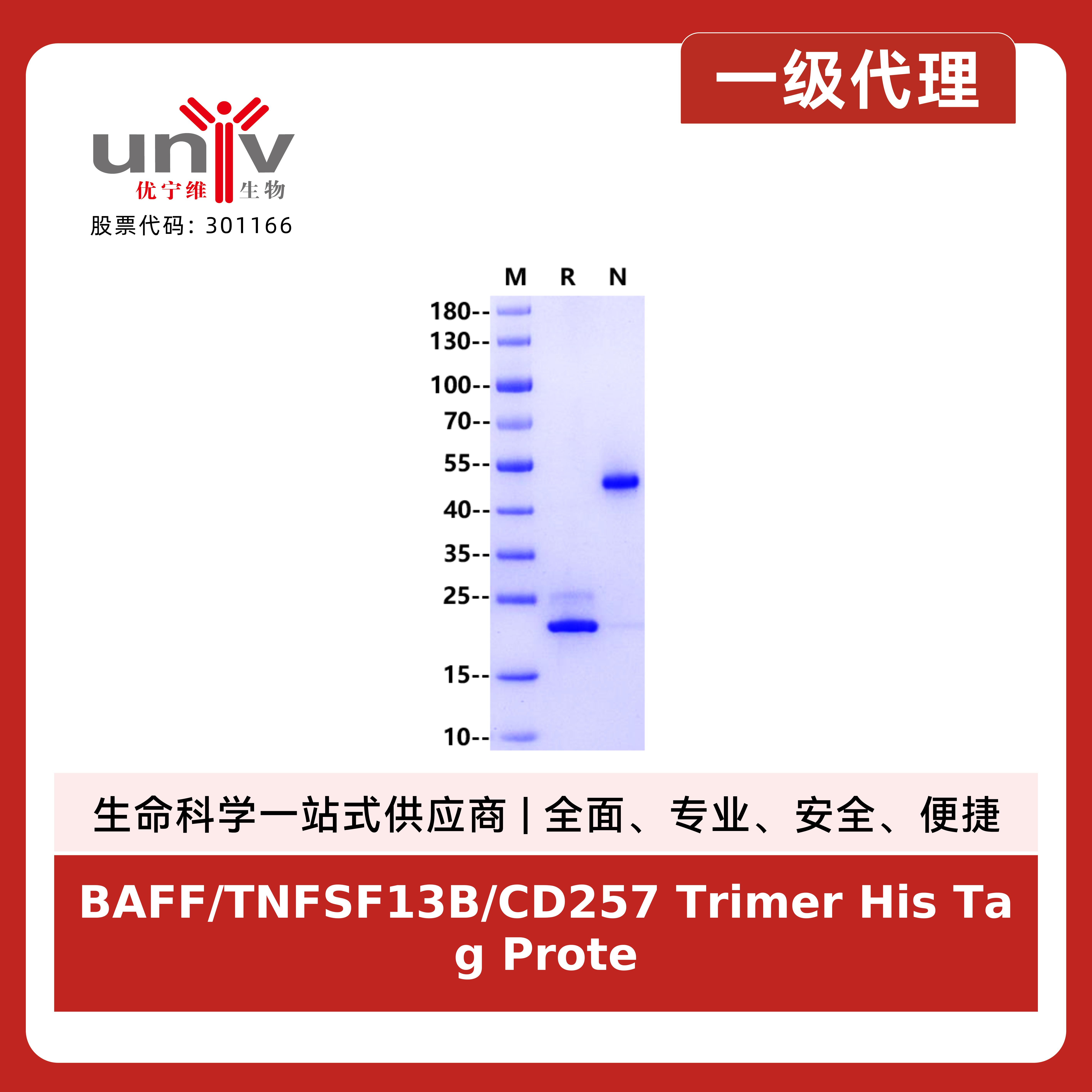 产品细节图片1