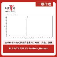 TL1A/TNFSF15 Protein,Human