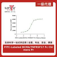 FITC-Labeled BCMA/TNFRSF17 Fc Chimera Protein, Human
