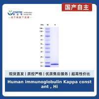 Human immunoglobulin Kappa constant , His tag