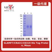 SLAMF7/CRACC/CD319 His Tag Protein, Mouse