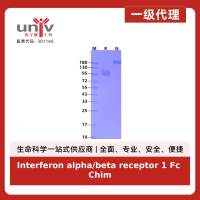 Interferon alpha/beta receptor 1 Fc Chimera Protein, Human