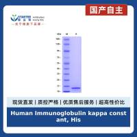 Human Immunoglobulin kappa constant, His tag