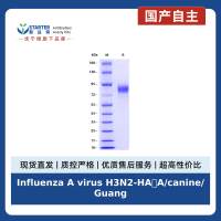 Influenza A virus H3N2-HA(A/canine/Guangdong/1/2006 H3N2), His tag
