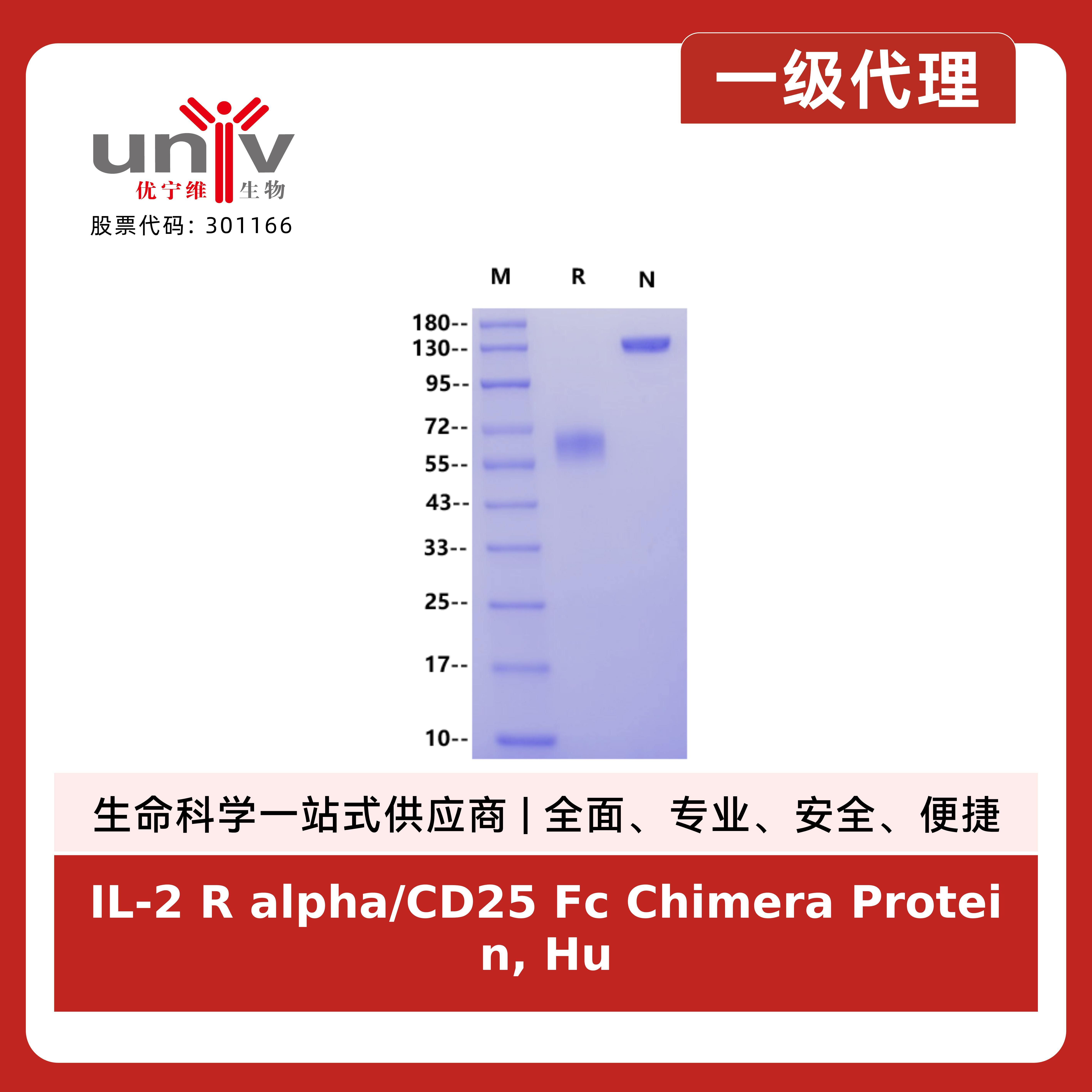 产品细节图片3