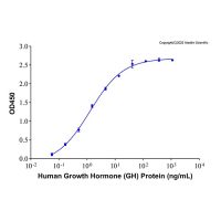 Recombinant Human Growth Hormone (GH) Protein,无动物源, 无载体, 生物活性, ActiBioPure™, ≥95%(SDS-PAGE),阿拉丁