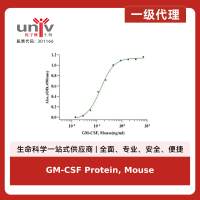GM-CSF Protein, Mouse