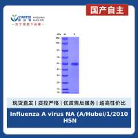 Influenza A virus NA (A/Hubei/1/2010 H5N1), His tag